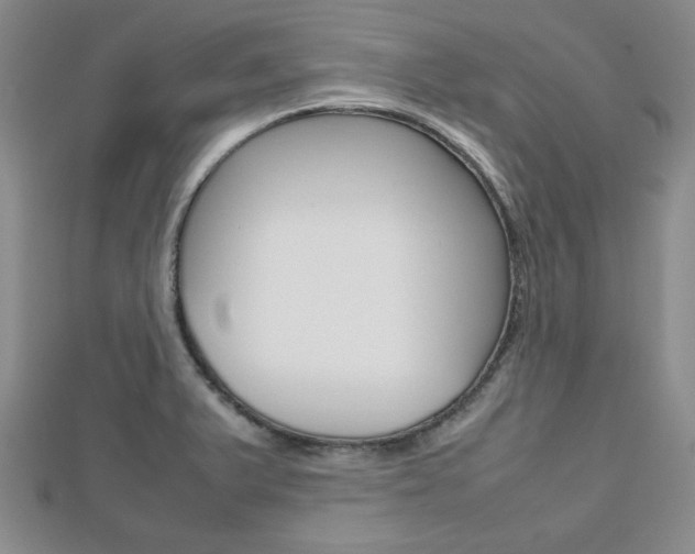 X0000112811375200908210929