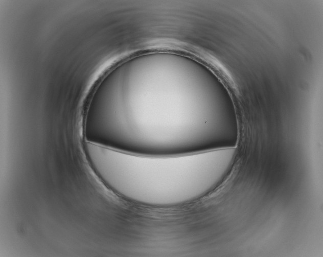 X0000112811376200908210929