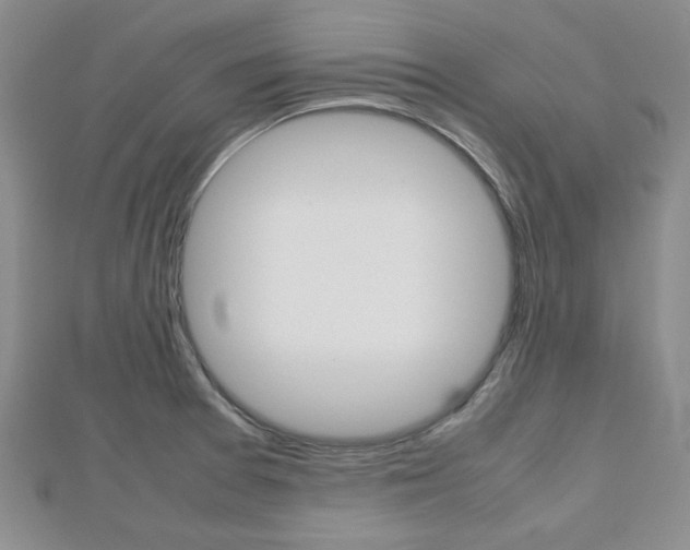 X0000112811377200908210929