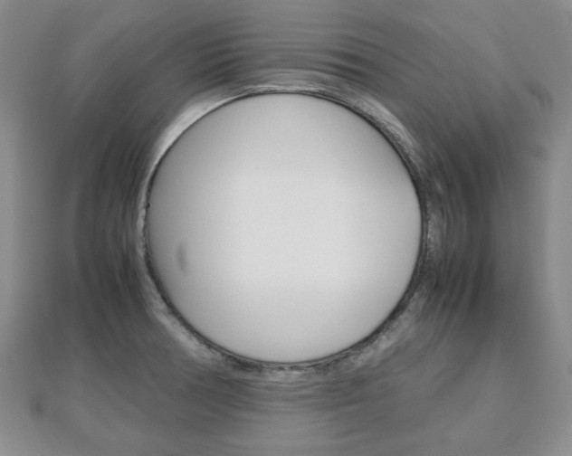 X0000112811378200908210929