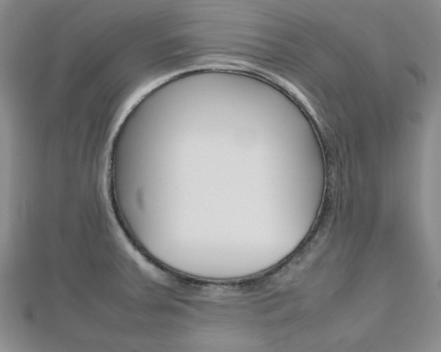 X0000112811379200908210929