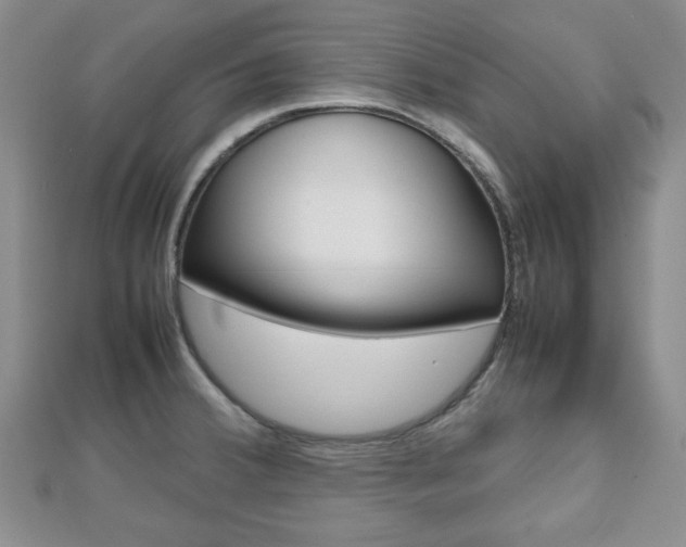 X0000112811380200908210929