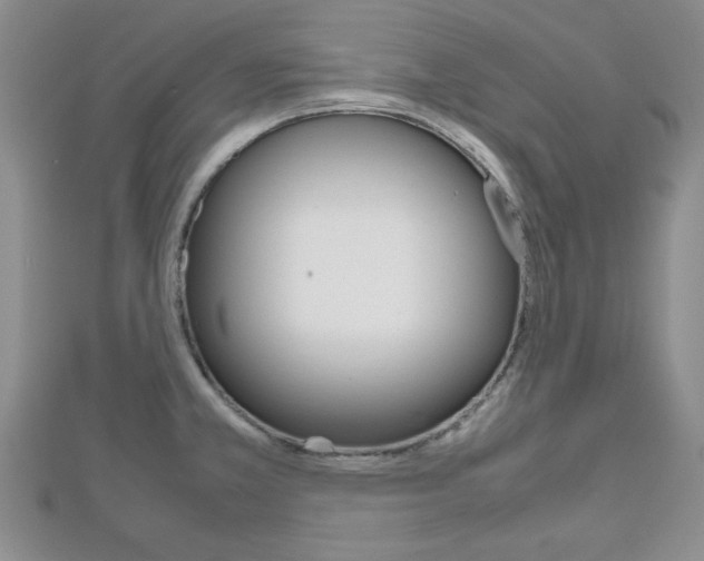 X0000112811381200908210929