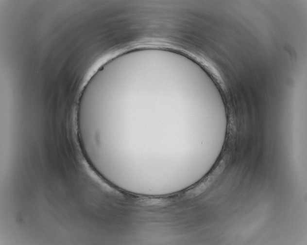 X0000112811382200908210929