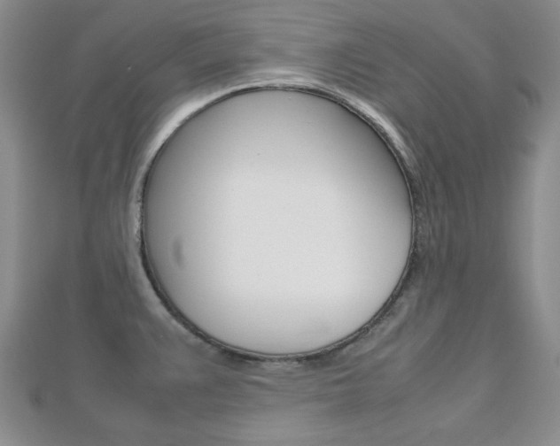 X0000112811383200908210929