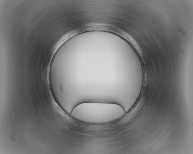 X0000112811386200908210929