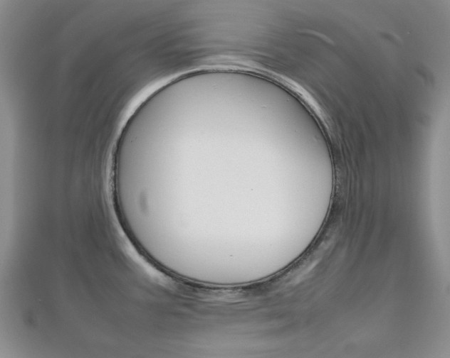 X0000112811387200908210929