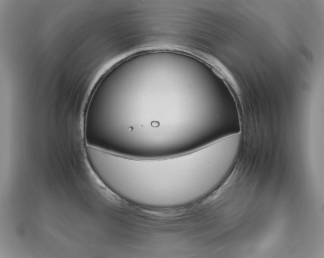 X0000112811388200908210929