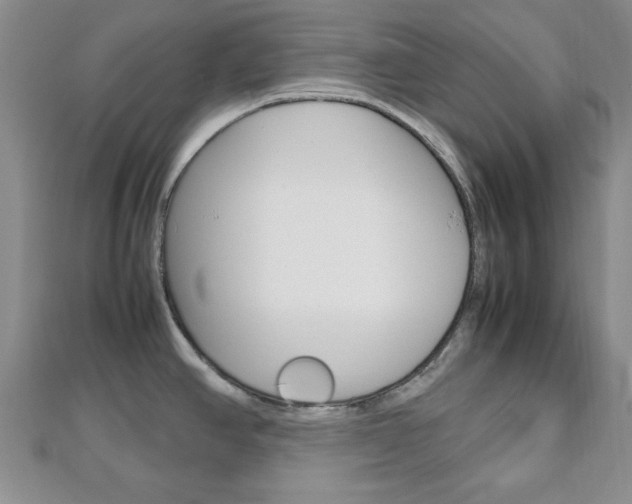X0000112811390200908210929