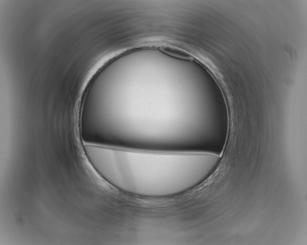 X0000112811392200908210929