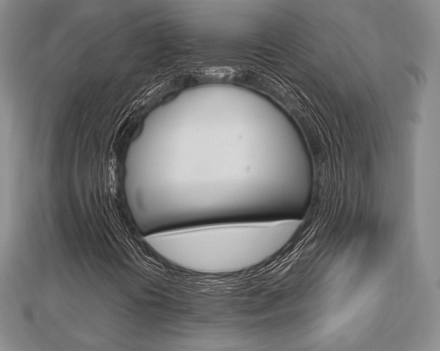 X0000112811394200908210928