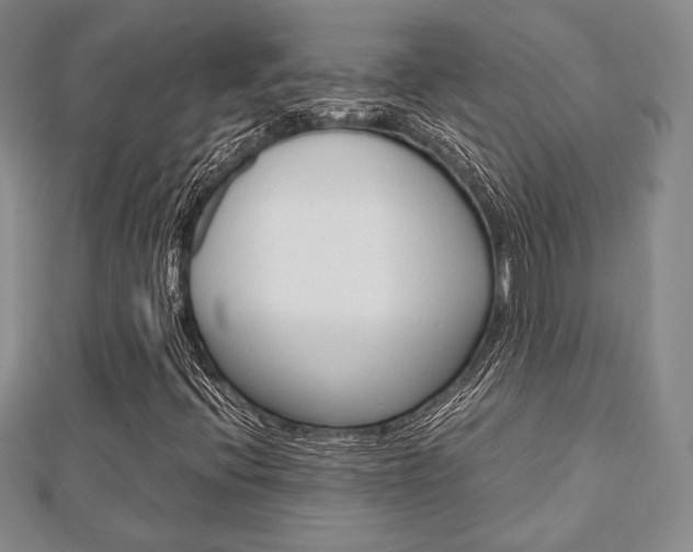 X0000112811396200908210928