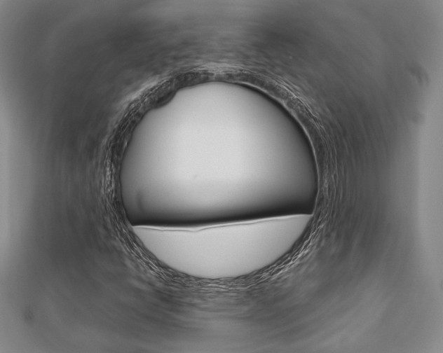 X0000112811398200908210928