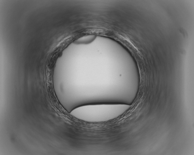X0000112811399200908210928
