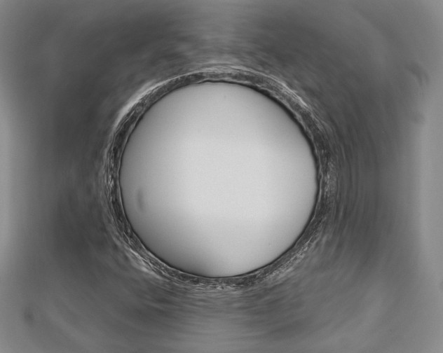 X0000112811400200908210928