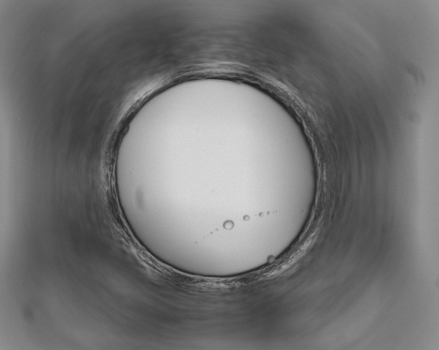 X0000112811405200908210928