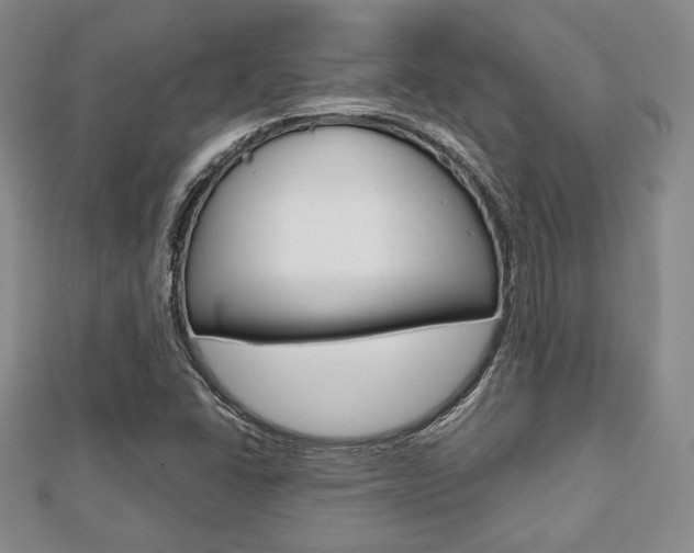 X0000112811406200908210928