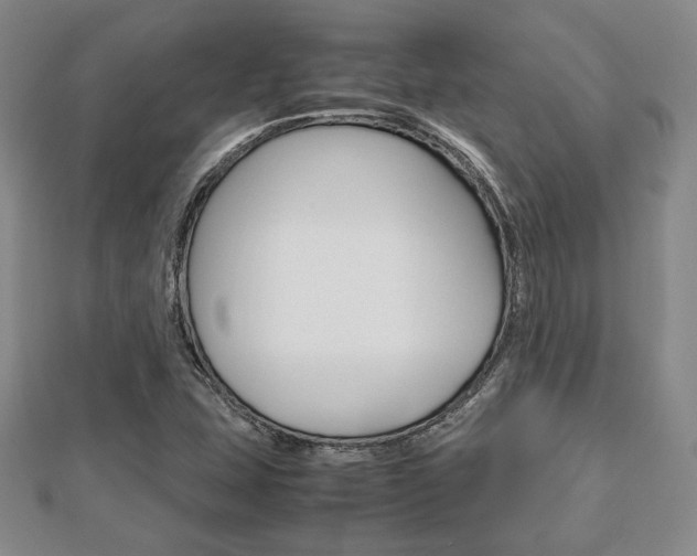 X0000112811407200908210928