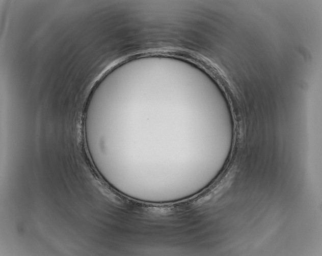 X0000112811409200908210928