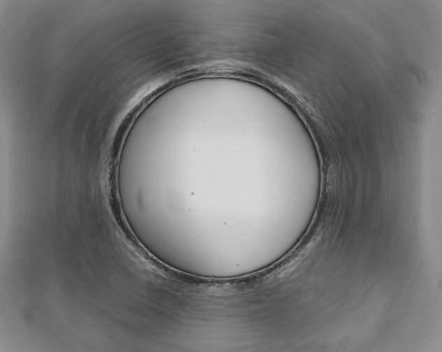 X0000112811410200908210928