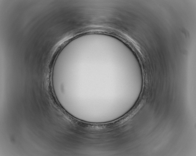 X0000112811411200908210928