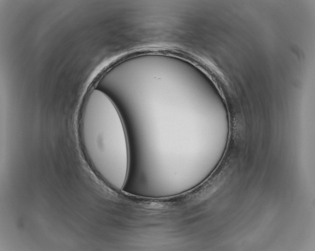 X0000112811412200908210928