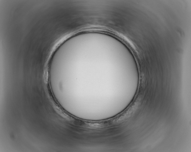 X0000112811413200908210928