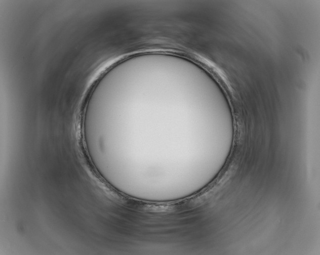 X0000112811415200908210928