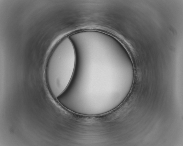 X0000112811416200908210928