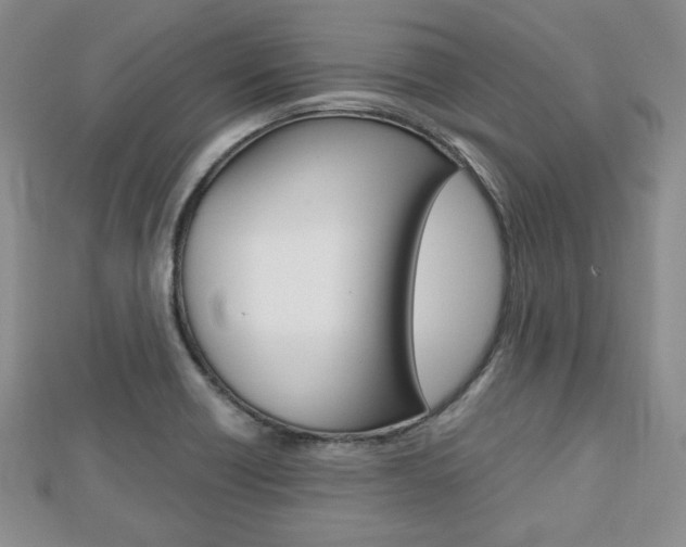 X0000112811418200908210928