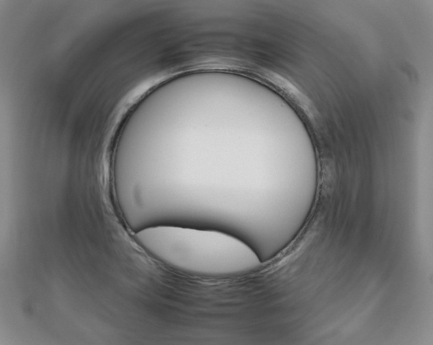 X0000112811419200908210928