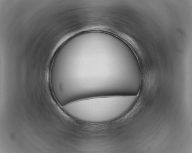 X0000112811420200908210928