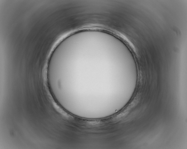 X0000112811421200908210928