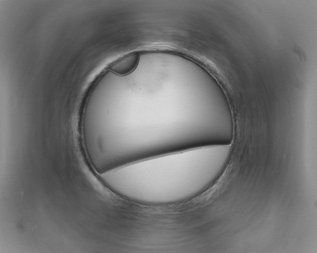 X0000112811422200908210928