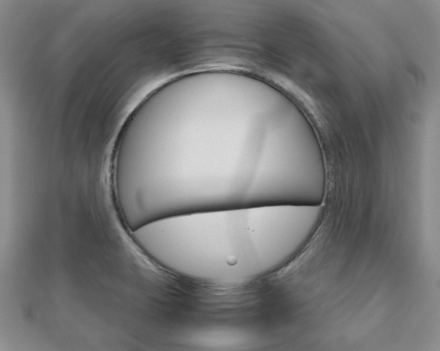 X0000112811423200908210928