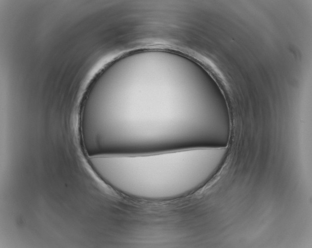 X0000112811424200908210928