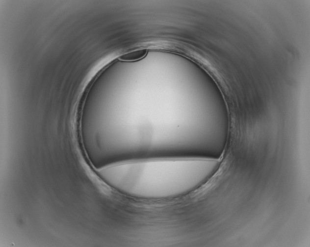 X0000112811426200908210928