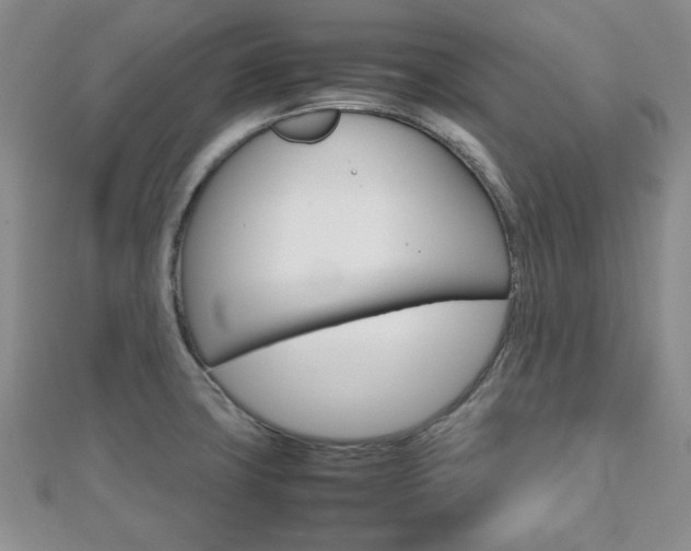 X0000112811427200908210928