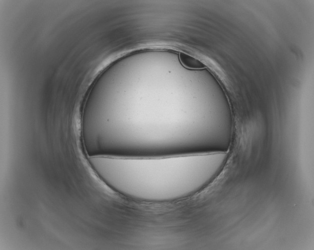 X0000112811428200908210928