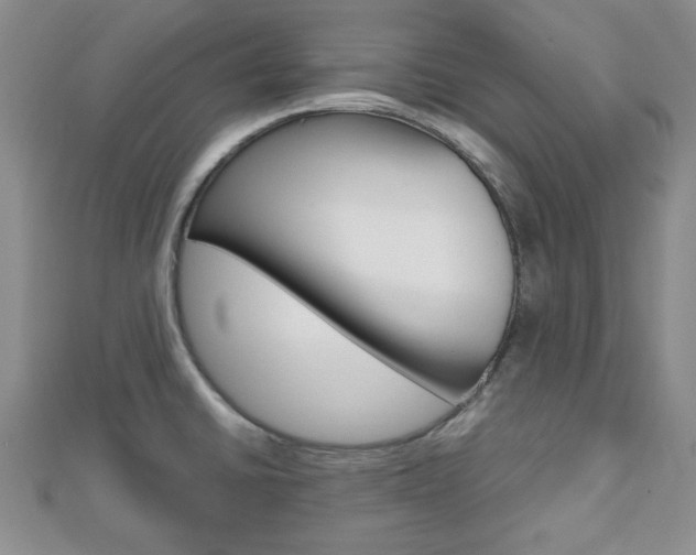 X0000112811430200908210928