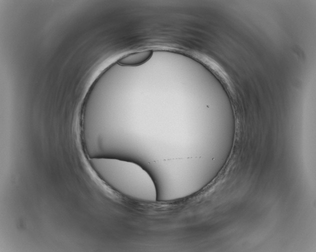 X0000112811431200908210928