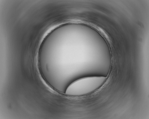X0000112811432200908210928