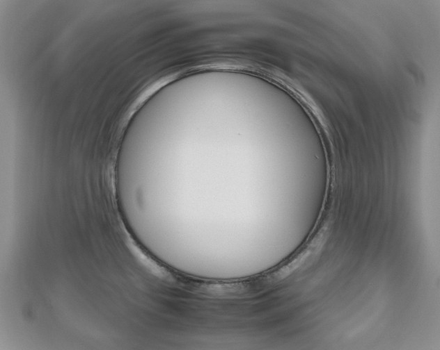 X0000112811433200908210928