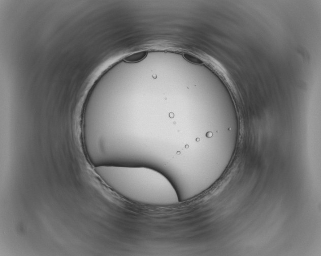 X0000112811435200908210929