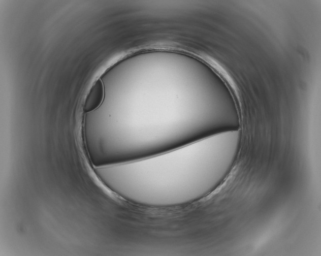X0000112811437200908210929