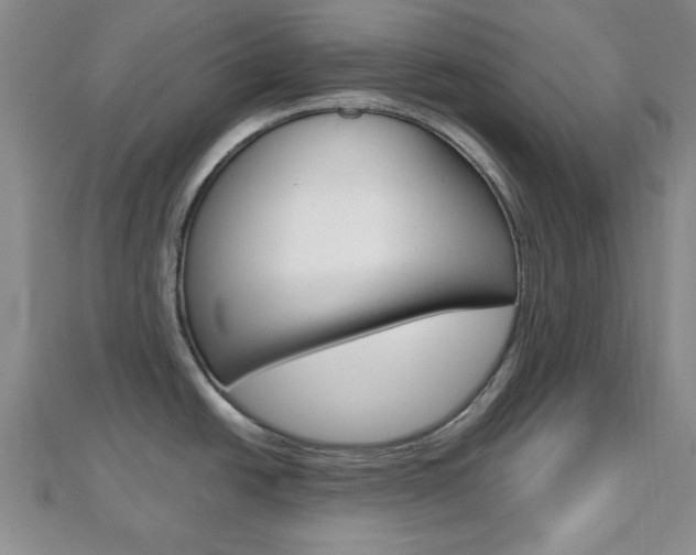 X0000112811438200908210929