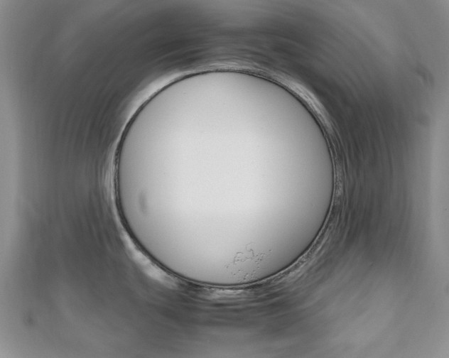 X0000112811439200908210929