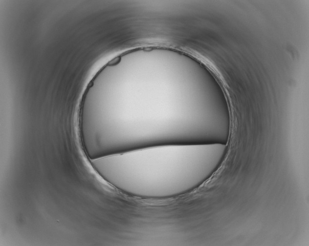 X0000112811440200908210929