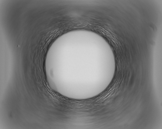 X0000112811441200908210928