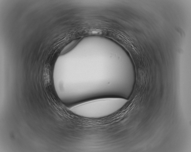 X0000112811442200908210928